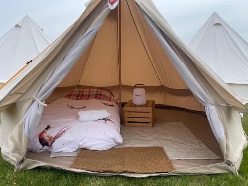 596one-person-glamping-tent-2