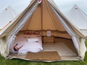 one-person-glamping-tent-2
