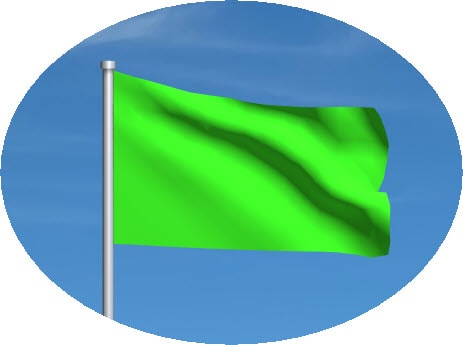 green motogp flag