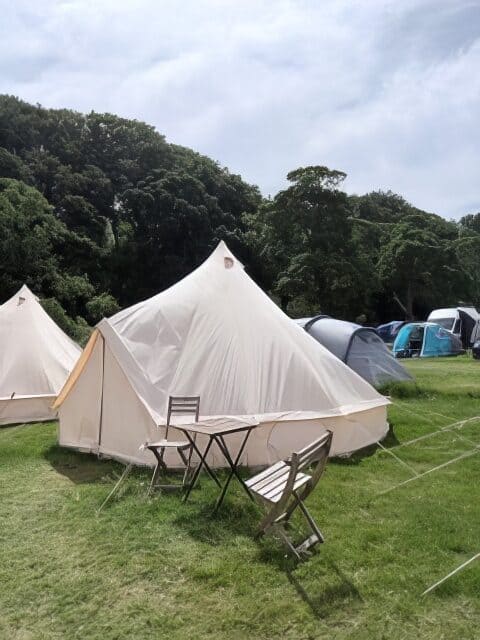 Lorraine's photo from her tt 26 experience with intentsGP