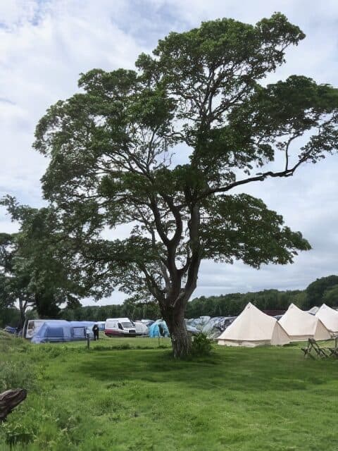 Lorraine's photo from her tt 26 experience with intentsGP